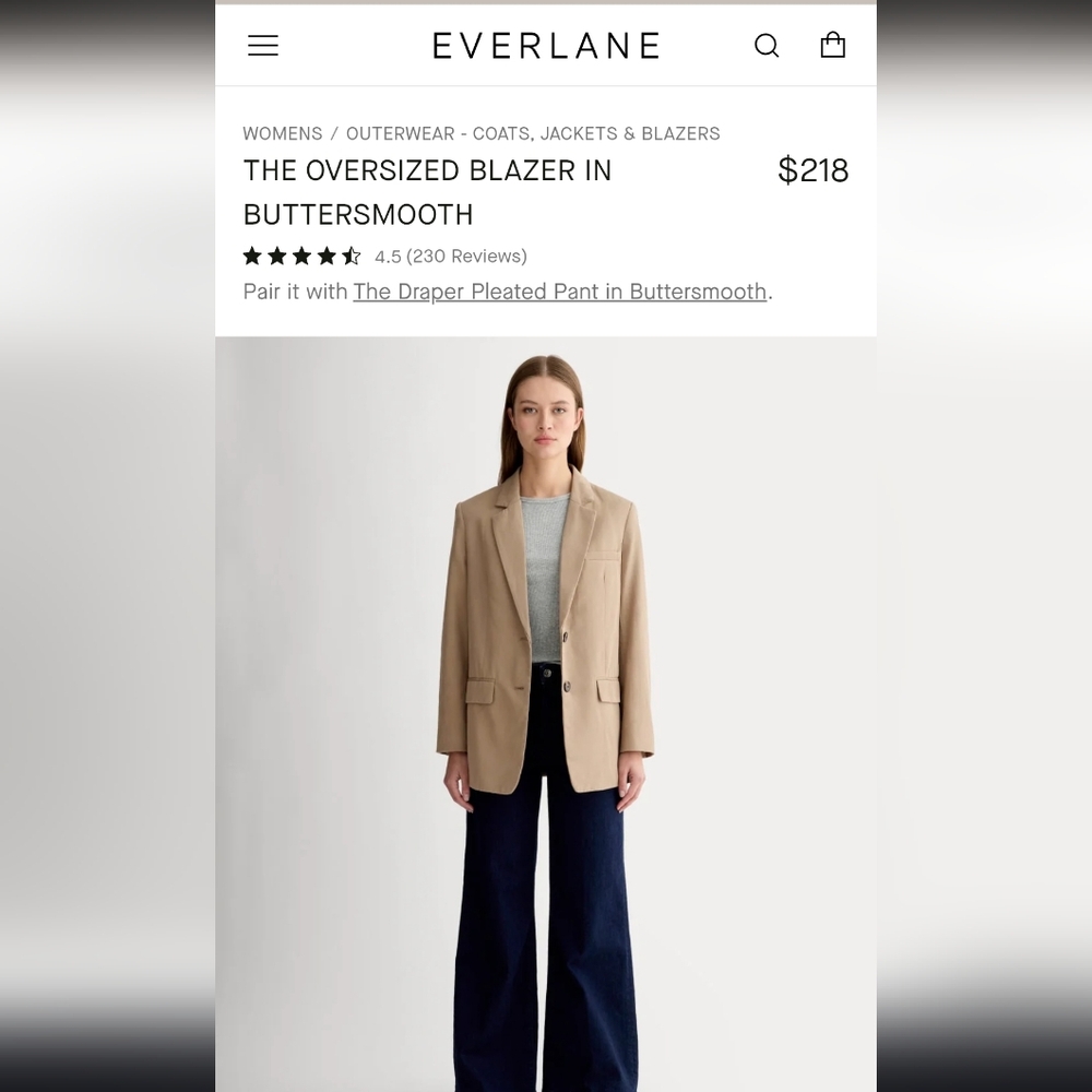 Everlane The Oversized Blazer Buttersmooth Workwear Office Suit Jacket Spring